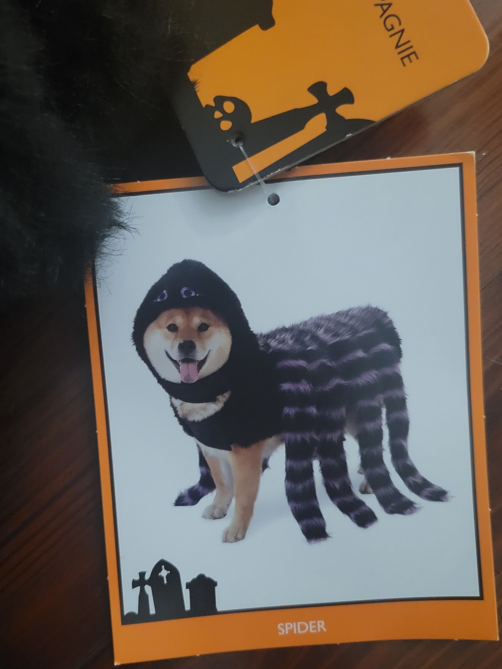 Spider Dog Costume - Black and Purple Plush Pet Outfit- XXL